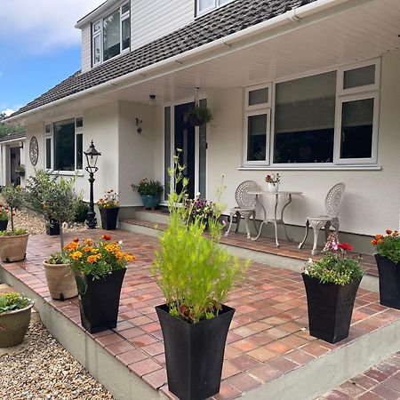 Woodland House B & B Уимборн-Минстер Экстерьер фото